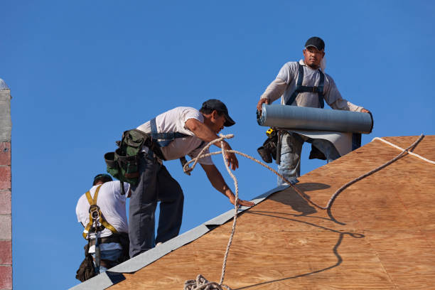 Best Residential Roofing Contractor  in Hlsboro, IL