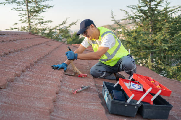 Best Local Roofing Companies  in Hlsboro, IL