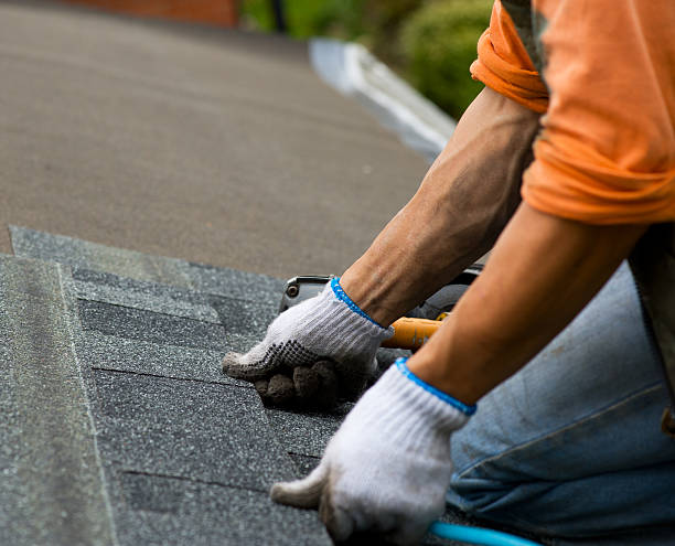 Best Roof Repair Services  in Hlsboro, IL