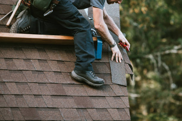 Best Roofing Contractor Near Me  in Hlsboro, IL