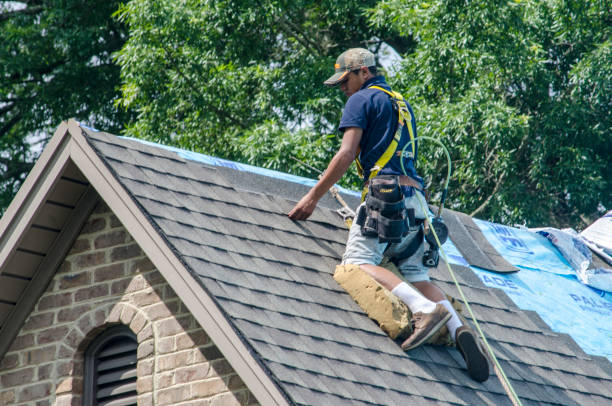 Roof Gutter Cleaning in Hillsboro, IL